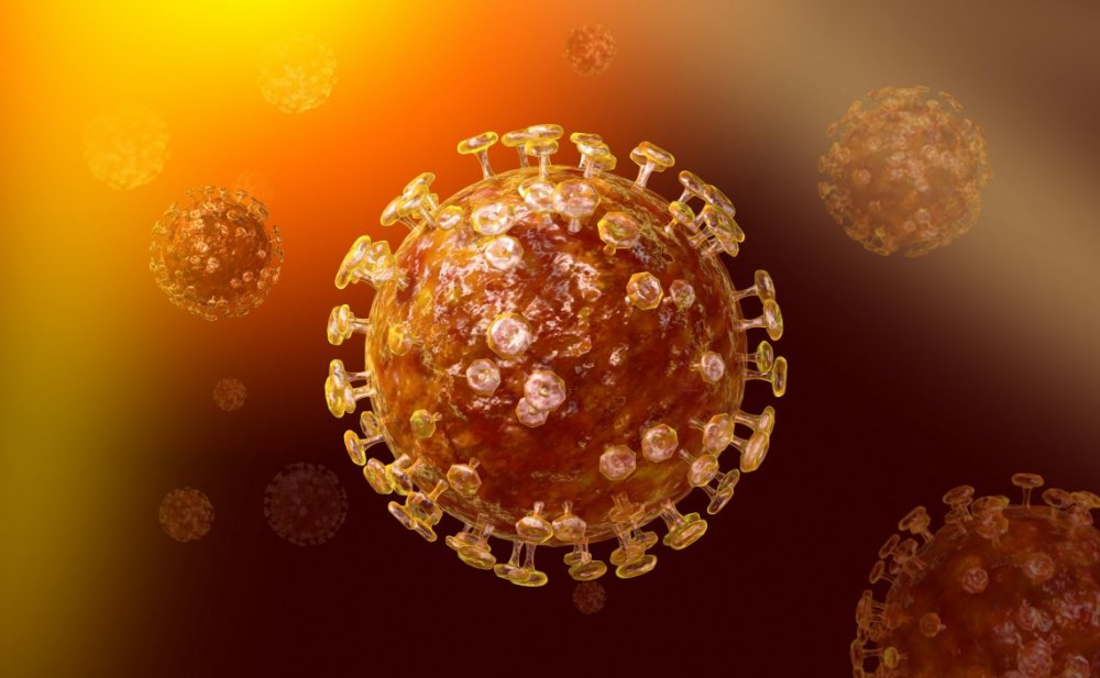 Что делать во время пандемии коронавируса?